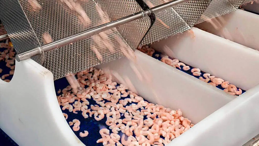 Túnel de Congelación IQF